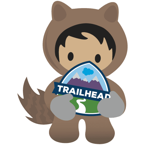 Salesforce Admin & Development technology and programming